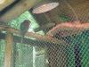 <img100*0:stuff/aj/42000/1283116022.jpg>