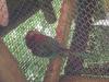 <img100*0:stuff/aj/42000/1283116075.jpg>
