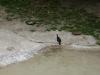 <img100*0:stuff/aj/42000/1283116205.jpg>
