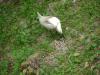 <img100*0:stuff/aj/42000/1283116666.jpg>