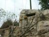 <img100*0:stuff/aj/42000/1283117290.jpg>