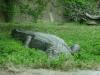 <img100*0:stuff/aj/42000/1283117885.jpg>