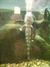 <img100*0:stuff/aj/42000/1283118033.jpg>