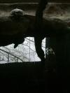 <img100*0:stuff/aj/42000/1283118149.jpg>