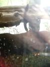 <img100*0:stuff/aj/42000/1283118193.jpg>