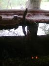 <img100*0:stuff/aj/42000/1283118236.jpg>