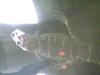 <img100*0:stuff/aj/42000/1283118610.jpg>