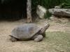 <img100*0:stuff/aj/42000/1283120287.jpg>