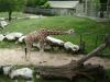 <img100*0:stuff/aj/42000/1283120763.jpg>