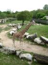 <img100*0:stuff/aj/42000/1283120866.jpg>
