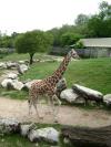 <img100*0:stuff/aj/42000/1283120880.jpg>
