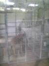 <img100*0:stuff/aj/42000/1283120893.jpg>