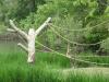 <img100*0:stuff/aj/42000/1283121663.jpg>