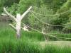 <img100*0:stuff/aj/42000/1283121726.jpg>