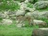 <img100*0:stuff/aj/42000/1283122153.jpg>