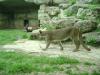 <img100*0:stuff/aj/42000/1283122381.jpg>