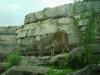 <img100*0:stuff/aj/42000/1283122531.jpg>