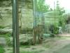<img100*0:stuff/aj/42000/1283122670.jpg>