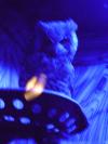 <img100*0:stuff/aj/42000/1283123815.jpg>