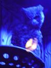 <img100*0:stuff/aj/42000/1283123857.jpg>