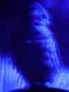 <img100*0:stuff/aj/42000/1283123948.jpg>