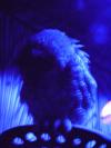 <img100*0:stuff/aj/42000/1283124032.jpg>