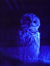 <img100*0:stuff/aj/42000/1283124203.jpg>