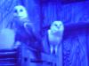 <img100*0:stuff/aj/42000/1283124362.jpg>