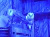 <img100*0:stuff/aj/42000/1283124388.jpg>
