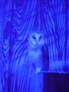 <img100*0:stuff/aj/42000/1283124421.jpg>
