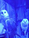 <img100*0:stuff/aj/42000/1283124446.jpg>