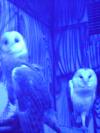 <img100*0:stuff/aj/42000/1283124538.jpg>