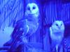 <img100*0:stuff/aj/42000/1283124561.jpg>