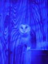 <img100*0:stuff/aj/42000/1283124579.jpg>