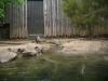 <img100*0:stuff/aj/42000/1283124917.jpg>