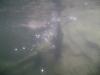 <img100*0:stuff/aj/42000/1283124971.jpg>