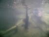 <img100*0:stuff/aj/42000/1283125023.jpg>