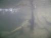 <img100*0:stuff/aj/42000/1283125073.jpg>