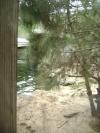 <img100*0:stuff/aj/42000/1283125116.jpg>