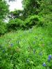 <img0*100:stuff/aj/42000/1283125620.jpg>