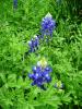 <img0*100:stuff/aj/42000/1283125664.jpg>