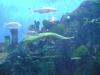 <img100*0:stuff/aj/42000/1283126326.jpg>