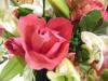 <img100*0:stuff/aj/42000/1283175571.jpg>