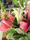 <img100*0:stuff/aj/42000/1283175674.jpg>