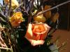 <img100*0:stuff/aj/42000/1283178586.jpg>