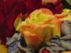 <img100*0:stuff/aj/42000/1283178667.jpg>