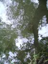 <img100*0:stuff/aj/42000/1283178763.jpg>