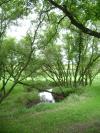 <img100*0:stuff/aj/42000/1283179504.jpg>