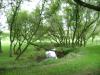 <img100*0:stuff/aj/42000/1283179702.jpg>