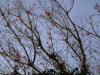 <img100*0:stuff/aj/42000/1283179745.jpg>